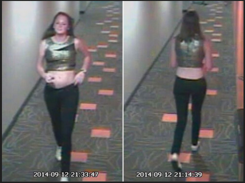 hannahgraham9or12voltsbattery