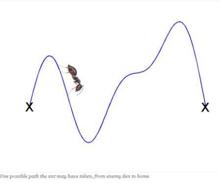 hannah graham math 2